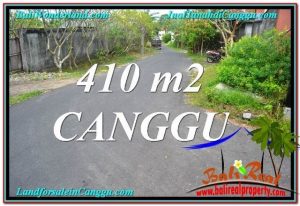 JUAL MURAH TANAH di CANGGU BALI 4.1 Are Lingkungan Villa