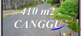 JUAL MURAH TANAH di CANGGU BALI 4.1 Are Lingkungan Villa