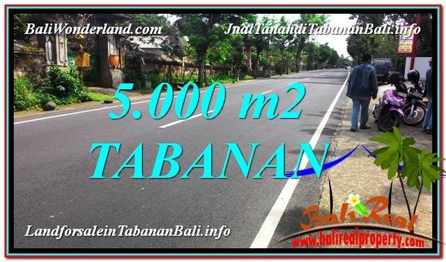 TANAH MURAH DIJUAL di TABANAN BALI Untuk INVESTASI TJTB332