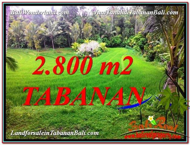 JUAL MURAH TANAH di TABANAN 28 Are View sawah