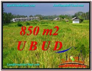 TANAH di UBUD BALI DIJUAL MURAH TJUB583