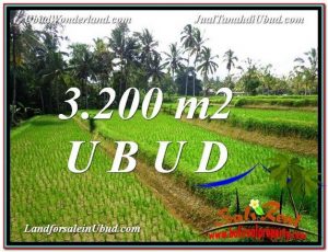 TANAH di UBUD DIJUAL 3,200 m2 di Ubud Tegalalang