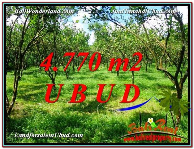 INVESTASI PROPERTI, DIJUAL TANAH di UBUD BALI TJUB598