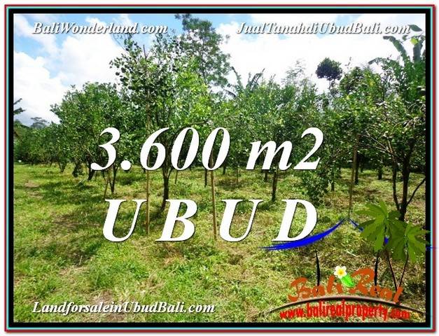 INVESTASI PROPERTI, DIJUAL MURAH TANAH di UBUD BALI TJUB599