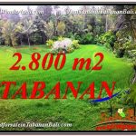 TANAH MURAH di TABANAN JUAL 28 Are View sawah