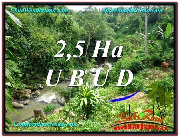 DIJUAL TANAH di UBUD TJUB579