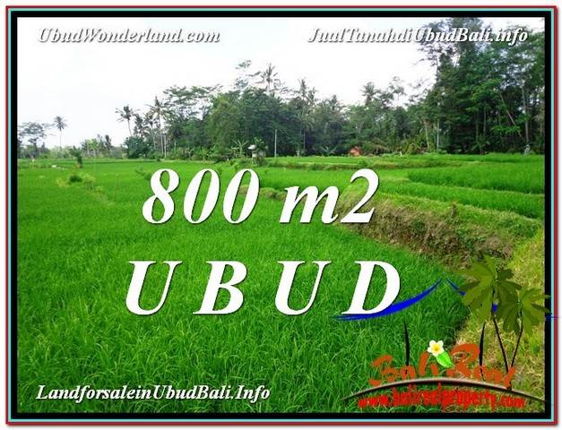 JUAL TANAH MURAH di UBUD 800 m2 di Ubud Pejeng