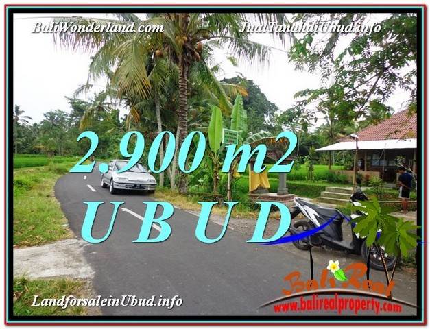 JUAL TANAH MURAH di UBUD BALI 29 Are di Sentral Ubud