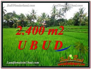 JUAL MURAH TANAH di UBUD BALI 2,400 m2  View Sawah link Villa