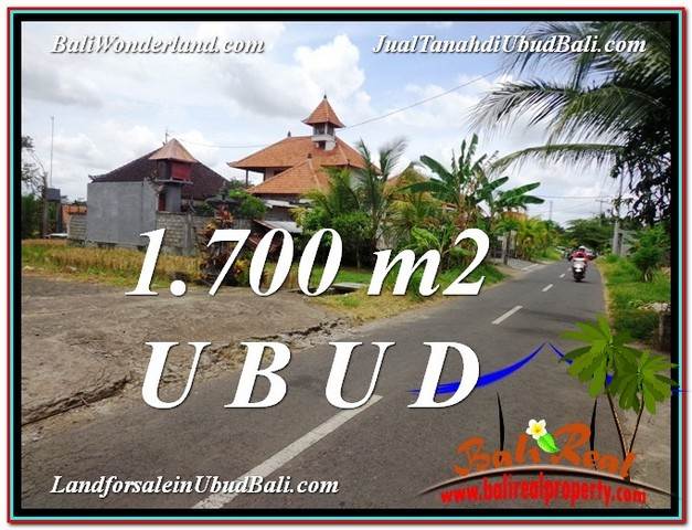 JUAL TANAH MURAH di UBUD BALI 17 Are di Sentral Ubud