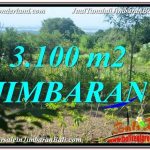 INVESTASI PROPERTY, TANAH MURAH di JIMBARAN TJJI113