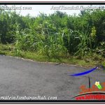 INVESTASI PROPERTY, TANAH MURAH di JIMBARAN TJJI113