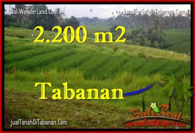 JUAL TANAH di TABANAN BALI 22 Are View Laut dan sawah