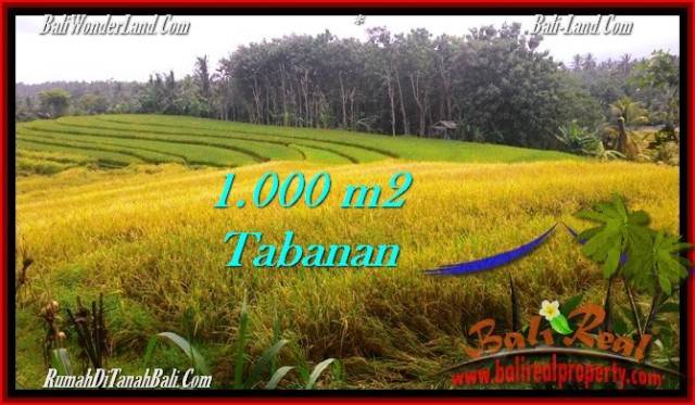 DIJUAL TANAH di TABANAN 1,000 m2 di Tabanan Selemadeg