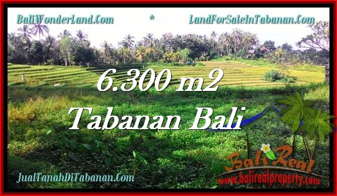 TANAH di TABANAN DIJUAL MURAH Untuk INVESTASI TJTB275