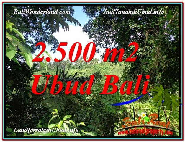 DIJUAL TANAH di UBUD Untuk INVESTASI TJUB605