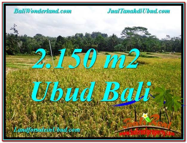 TANAH MURAH di UBUD DIJUAL Untuk INVESTASI TJUB606