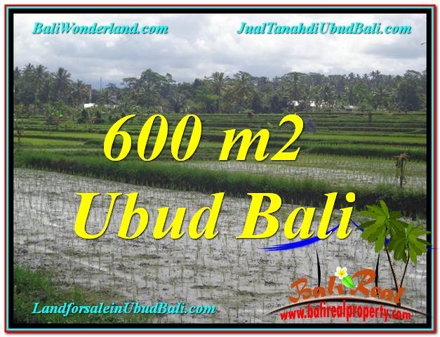 INVESTASI PROPERTY, JUAL TANAH MURAH di UBUD TJUB607