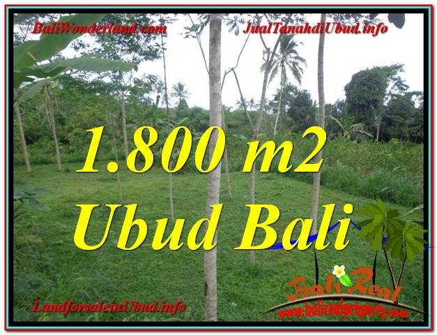 INVESTASI PROPERTI, JUAL MURAH TANAH di UBUD TJUB610