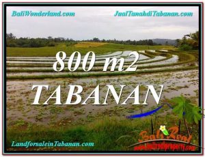 TANAH di TABANAN BALI DIJUAL 800 m2 di Tabanan Selemadeg