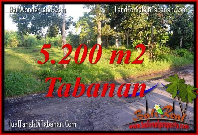 TANAH DIJUAL di TABANAN BALI 52 Are View Kebun dan Sungai