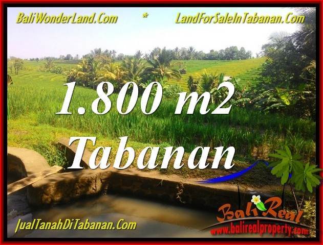 DIJUAL MURAH TANAH di TABANAN BALI 1,800 m2 di Tabanan Selemadeg