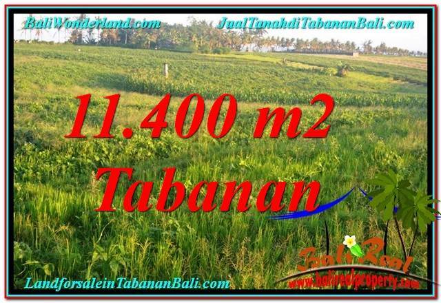 JUAL MURAH TANAH di TABANAN 5,000 m2 View Kebun