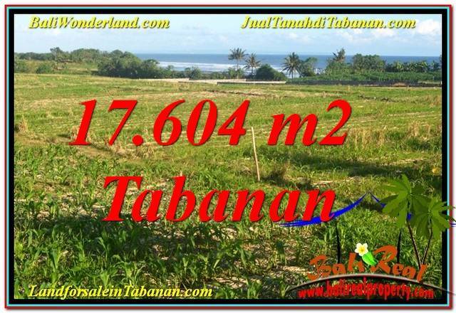 JUAL TANAH di TABANAN BALI 176.04 Are di Tabanan Kerambitan