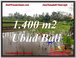 TANAH di UBUD BALI DIJUAL MURAH TJUB615