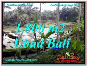 JUAL TANAH di UBUD BALI 1,800 m2  View Sawah 