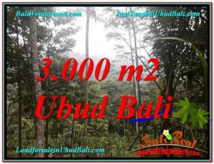 DIJUAL TANAH di UBUD 3,000 m2 di Ubud Payangan