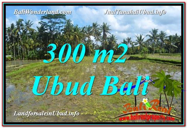 JUAL TANAH MURAH di UBUD Untuk INVESTASI TJUB619