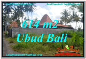 TANAH di UBUD BALI DIJUAL MURAH 6 Are View kebun lingkungan Villa