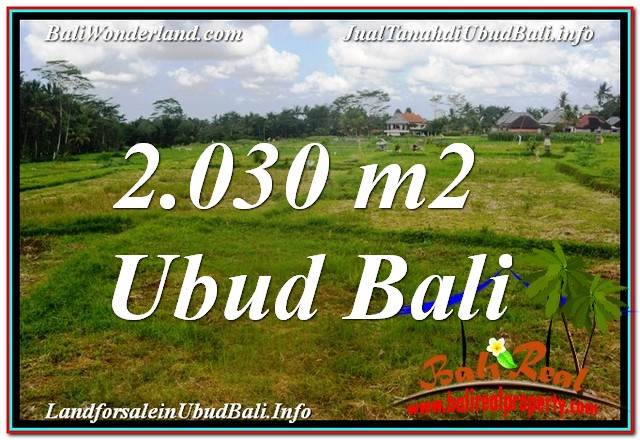 TANAH di UBUD JUAL MURAH 2,030 m2 View Sawah lingkungan Villa