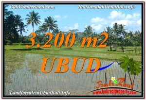 INVESTASI PROPERTI, DIJUAL TANAH di UBUD BALI TJUB628