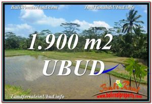 DIJUAL TANAH di UBUD TJUB629