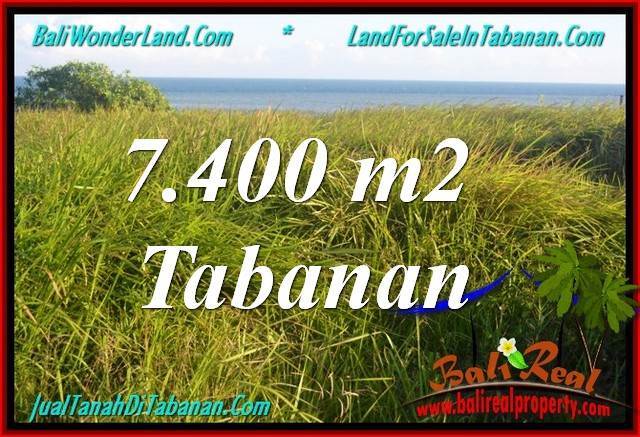 DIJUAL MURAH TANAH di TABANAN BALI Untuk INVESTASI TJTB341