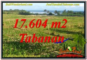 TANAH MURAH DIJUAL di TABANAN 17,604 m2 di Tabanan Kerambitan