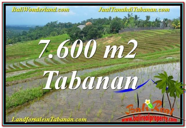 TANAH MURAH DIJUAL di TABANAN 7,600 m2 di Tabanan Selemadeg