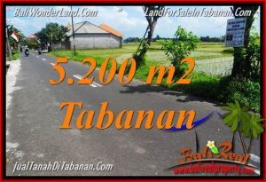 TANAH MURAH JUAL   TABANAN 5,200 m2  View sawah TANAH MURAH di TABANAN BALI DIJUAL 52 Are di Tabanan Kediri