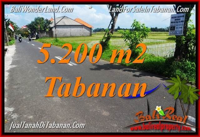 TANAH MURAH JUAL TABANAN 5,200 m2 View sawah TANAH MURAH di TABANAN BALI DIJUAL 52 Are di Tabanan Kediri