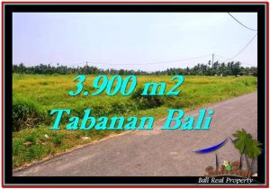 INVESTASI PROPERTI, TANAH MURAH DIJUAL di TABANAN BALI TJTB258