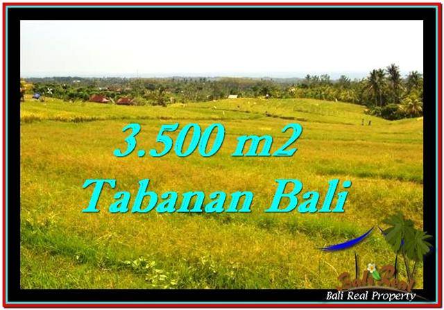 TANAH di TABANAN JUAL MURAH 3,500 m2 View sawah dan laut