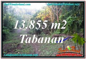 TANAH DIJUAL di TABANAN BALI Untuk INVESTASI TJTB335