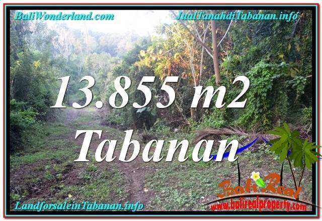 TANAH DIJUAL di TABANAN BALI Untuk INVESTASI TJTB335