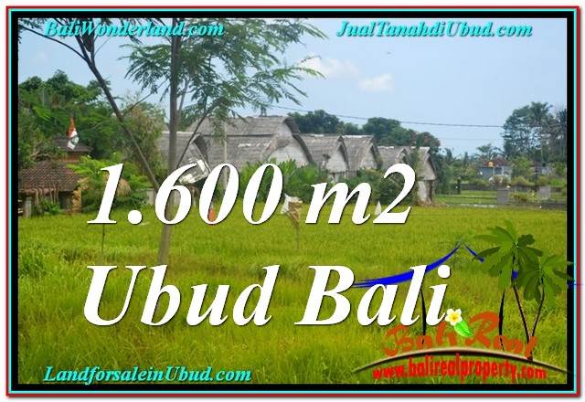 TANAH MURAH DIJUAL di UBUD BALI Untuk INVESTASI TJUB633