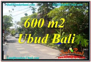 TANAH di UBUD DIJUAL 600 m2 di Sentral / Ubud Center