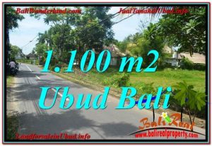 TANAH MURAH DIJUAL di UBUD BALI 1,100 m2 di Sentral / Ubud Center