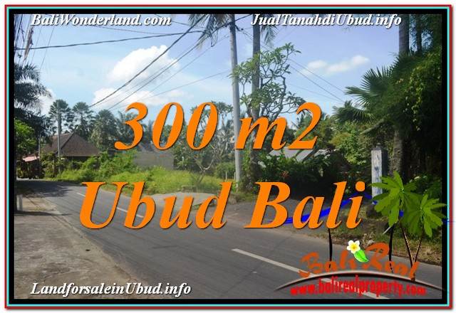 TANAH MURAH di UBUD BALI Untuk INVESTASI TJUB646