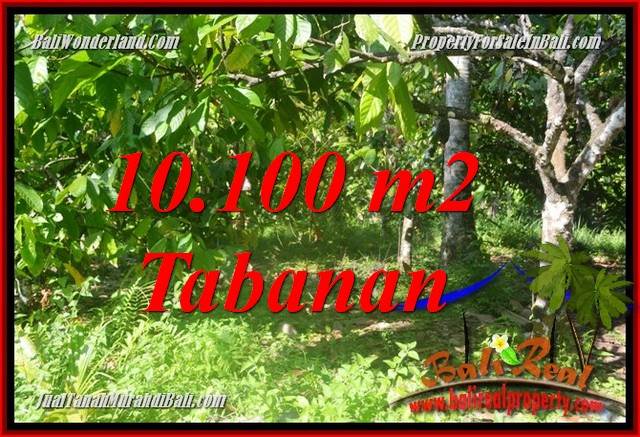 JUAL TANAH MURAH di TABANAN BALI 10,100 m2 View kebun